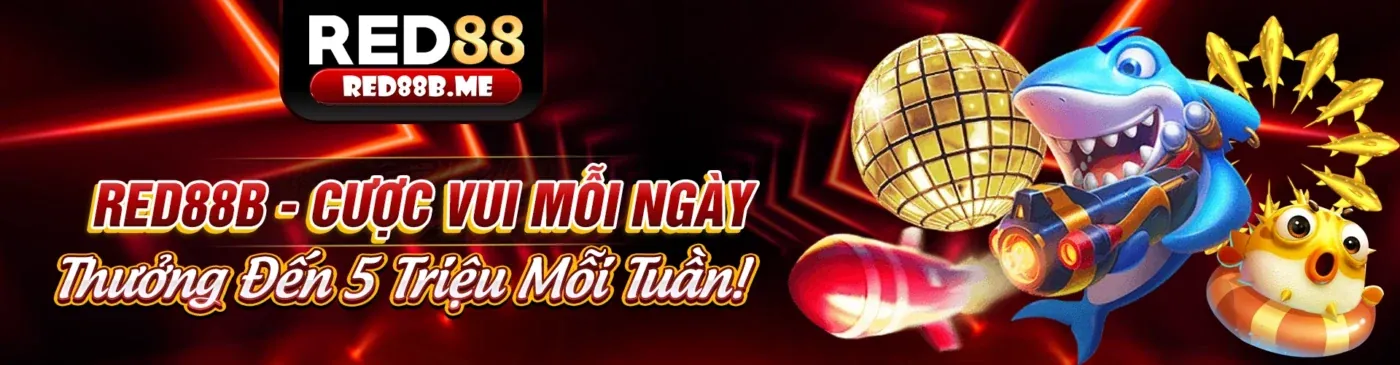 Khuyến Mãi Đăng Nhập Hàng Ngày Trên App 88nn